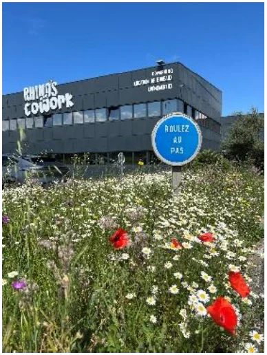 Prairie de marguerites et de coquelicots devant un bâtiment sombre portant l’enseigne RHINOS COWORK, avec un panneau « ROULEZ AU PAS ».